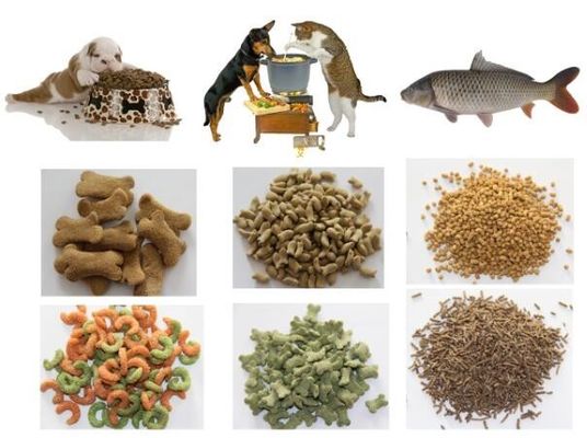 Extrusor de alimentación para peces de 3000 kg fabricado en acero inoxidable 201 304 para la conversión mejorada de alimentos para peces