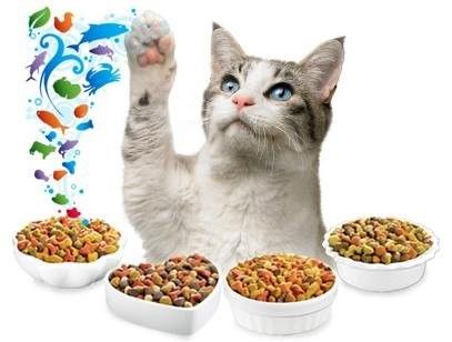 1000 kg/h Capacidad Línea de producción automática versátil de alimentos para perros para soluciones versátiles
