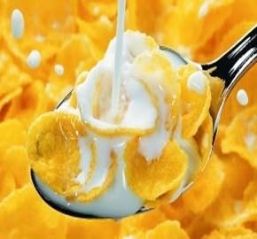 Componentes básicos de la bomba de maíz de desayuno de cereales de fabricación de la máquina personalizada