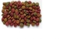 Linea de procesamiento de equipos de secado de alimentos para mascotas con extrusora de tornillos gemelos para los requisitos del cliente