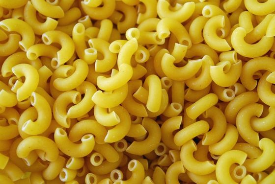 Máquina para hacer pasta de macarrones de acero inoxidable para satisfacer las necesidades de los clientes