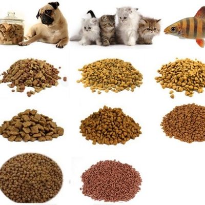 Siemens Condición del motor principal Máquina de hacer comida seca para perros para la línea de producción de alimentos para mascotas