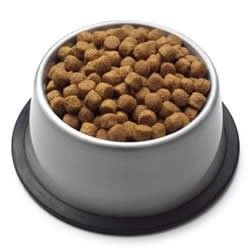 Equipo de extrusión de alimentos para mascotas multifoncional de galletas secas para plantas de alimentos y bebidas