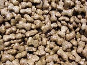 Línea de producción de extrusores automáticos de acero inoxidable de alta capacidad para alimentos para perros y mascotas
