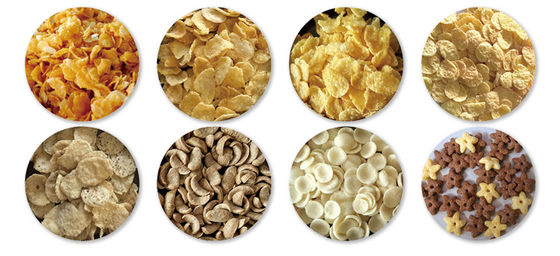 Máquina de fabricación de pasta de macarrones industrial para la planta de fabricación Capacidad 3000 KG