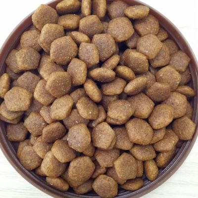 Equipo de extrusión de pellets de alimentos para perros de pequeño tamaño con tecnología Delta Inverter