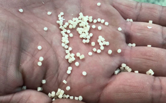 Máquina para hacer macarrones de producción a pequeña escala con capacidad de 50 kg/h y fácil operación